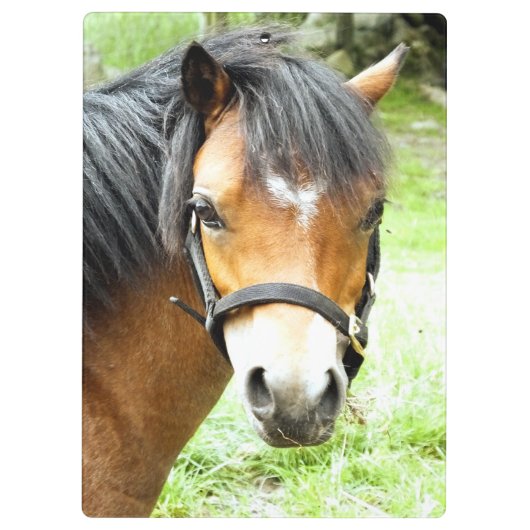 PORTE-BLOC PONY BROWN (Dos)