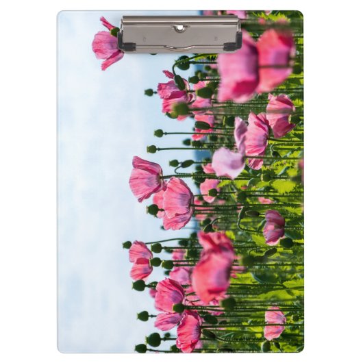 Porte-bloc Poppies roses (Devant)