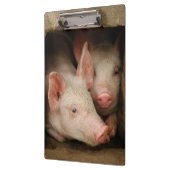 Porte-bloc Porcelets curieux (Gauche)