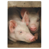 Porte-bloc Porcelets curieux (Dos)