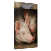 Porte-bloc Porcelets curieux (Swatch)