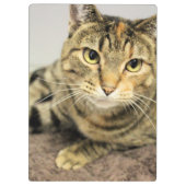 Porte-bloc Porte - bloc (Dos)