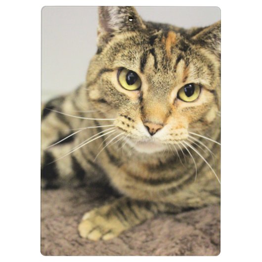 Porte-bloc Porte - bloc (Dos)