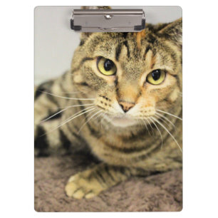 Porte-bloc Porte - bloc