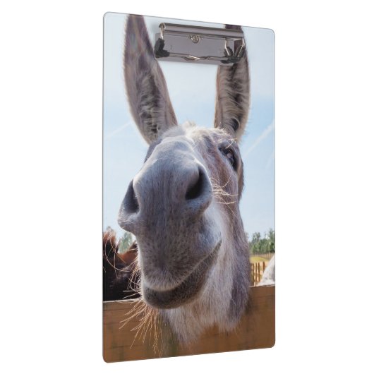 Porte-bloc Porte - bloc âne souriant (Swatch)