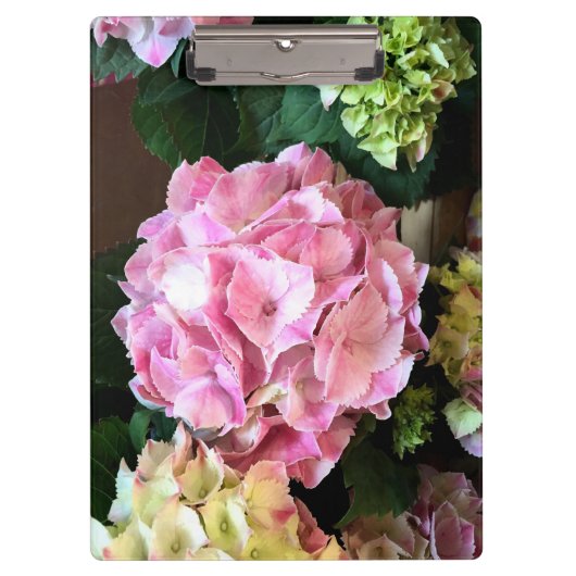 Porte-bloc Porte - bloc assez rose de Hygrangea (Devant)