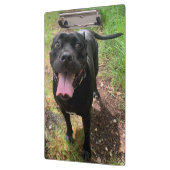 Porte-bloc Porte - bloc Cane Corso X (Gauche)
