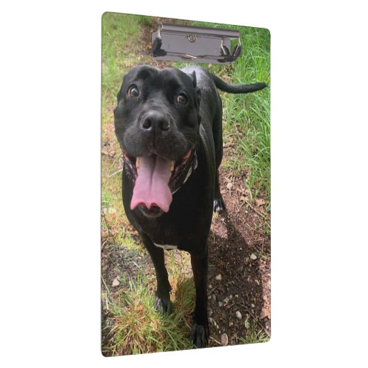 Porte-bloc Porte - bloc Cane Corso X (Swatch)