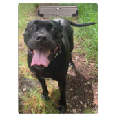 Porte-bloc Porte - bloc Cane Corso X (Devant)