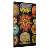 Porte-bloc Porte - bloc Carré Sea Squirt (Swatch)