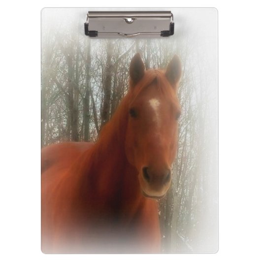 Porte-bloc Porte - bloc/Cheval (Devant)