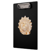 Porte-bloc Porte - bloc Conch Shell (Gauche)