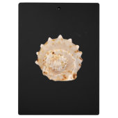 Porte-bloc Porte - bloc Conch Shell (Dos)