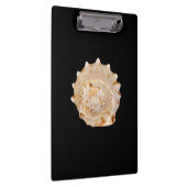 Porte-bloc Porte - bloc Conch Shell (Swatch)