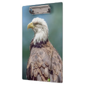 Porte-bloc Porte - bloc de Bald Eagle (Gauche)