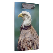 Porte-bloc Porte - bloc de Bald Eagle (Swatch)