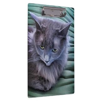 Porte-bloc Porte - bloc de chat gris vert