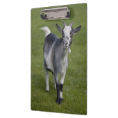 Porte-bloc Porte - bloc de chèvre pygmée (Gauche)