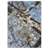 Porte-bloc Porte - bloc de fleurs de cerisiers (Dos)