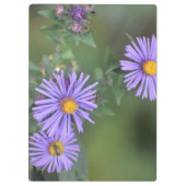 Porte-bloc Porte - bloc de fleurs violettes (Dos)