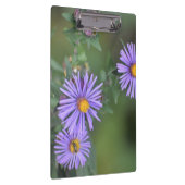 Porte-bloc Porte - bloc de fleurs violettes (Swatch)
