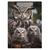 Porte-bloc Porte - bloc de la famille Owl (Devant)