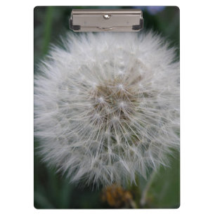 Porte-bloc Porte - bloc de la fleur Dandelion
