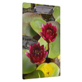 Porte-bloc Porte - bloc de Lys d'eau (Swatch)