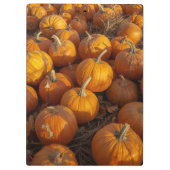 Porte-bloc Porte - bloc de patchs citrouille (Dos)