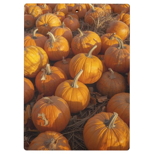 Porte-bloc Porte - bloc de patchs citrouille (Dos)