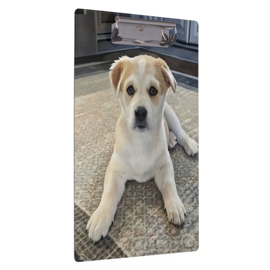 Porte-bloc Porte - bloc de surcharge du chiot (Swatch)