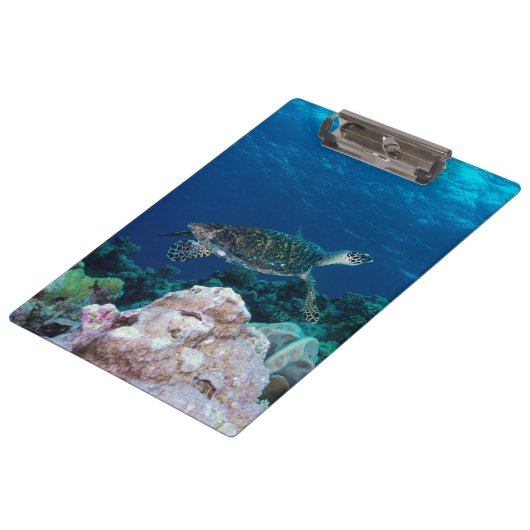 Porte-bloc Porte - bloc de tortue de mer (Incliné)
