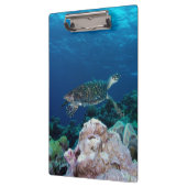 Porte-bloc Porte - bloc de tortue de mer (Gauche)