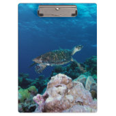 Porte-bloc Porte - bloc de tortue de mer (Devant)