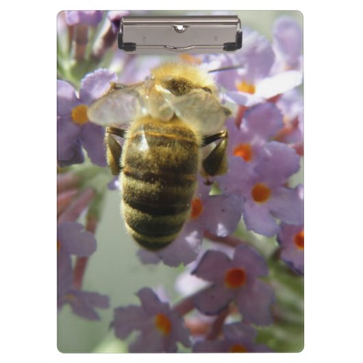 Porte-bloc Porte - bloc des fleurs d'abeilles et de bouddleia (Devant)