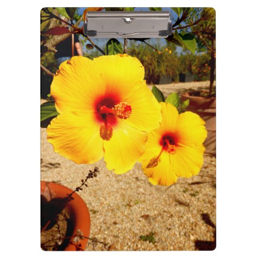 Porte-bloc Porte - bloc d'hibiscus jaune (Devant)