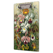 Porte-bloc Porte - bloc d'orchidaceae d'Ernst Haeckel (Gauche)