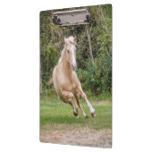 Porte-bloc Porte - bloc du Palomino Horse (Gauche)