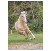 Porte-bloc Porte - bloc du Palomino Horse (Dos)
