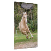 Porte-bloc Porte - bloc du Palomino Horse (Swatch)