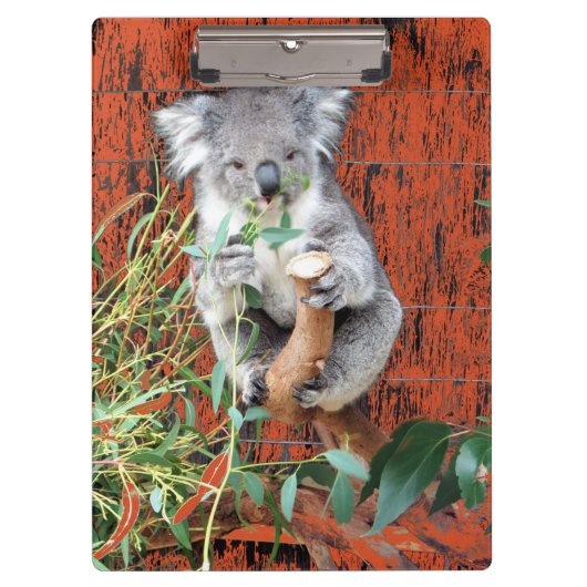 Porte-bloc Porte - bloc du temps de restauration de Koala (Devant)