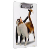 Porte-bloc Porte - bloc félin de chat d'amis (Swatch)