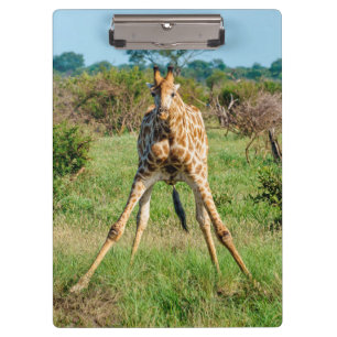 Porte-bloc Porte - bloc Giraffe