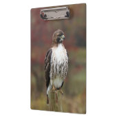 Porte-bloc Porte - bloc Hawk (Gauche)