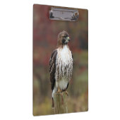 Porte-bloc Porte - bloc Hawk (Swatch)