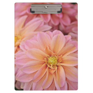 Porte-bloc Porte - bloc imprimé fleurs dahlia roses