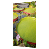 Porte-bloc Porte - bloc Lily Pond (Gauche)