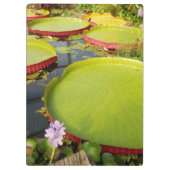 Porte-bloc Porte - bloc Lily Pond (Dos)