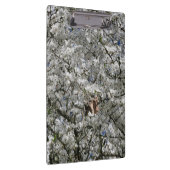 Porte-bloc Porte - bloc Mirabelle Blossom (Swatch)