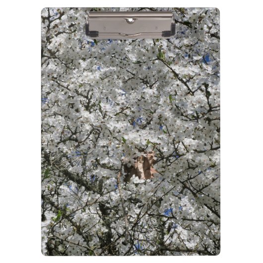 Porte-bloc Porte - bloc Mirabelle Blossom (Devant)